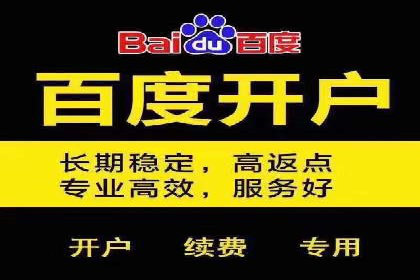 大型SEM服务公司案例分析